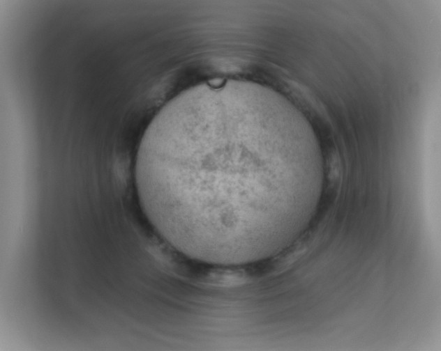 X0000111380559200907311055