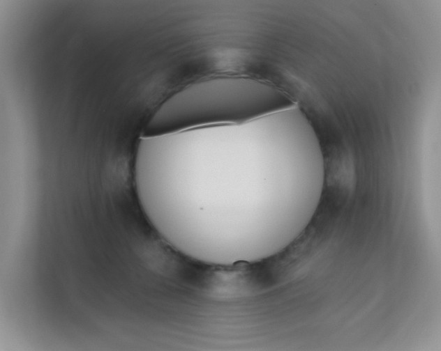 X0000111380560200907311056