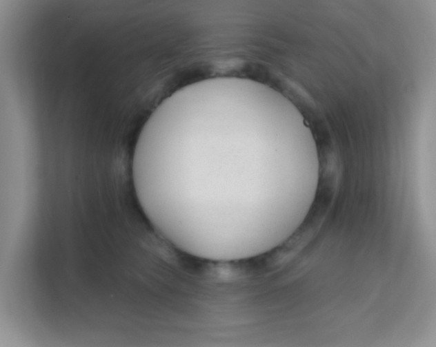 X0000111380565200907311056