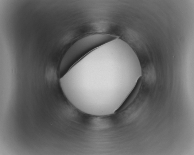 X0000111380568200907311056