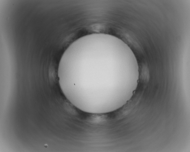 X0000111380569200907311056