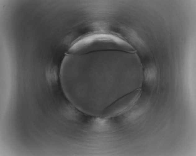 X0000111380570200907311056