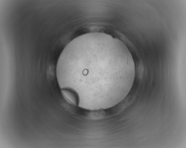 X0000111380571200907311056