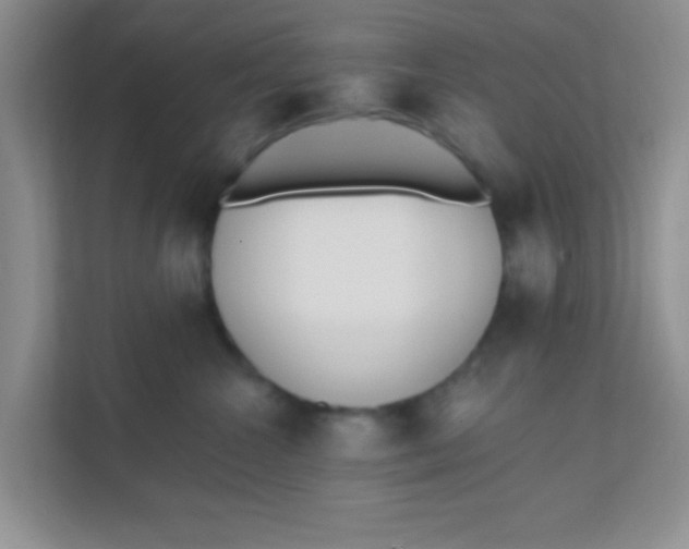 X0000111380572200907311056