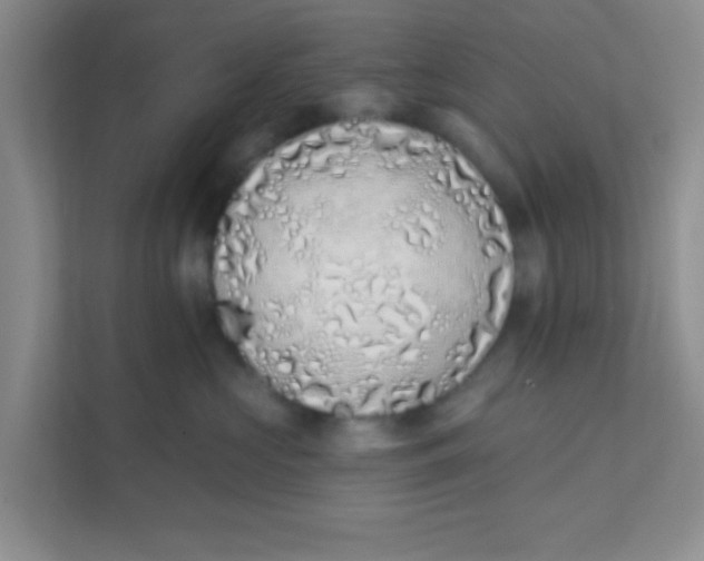 X0000111380573200907311056