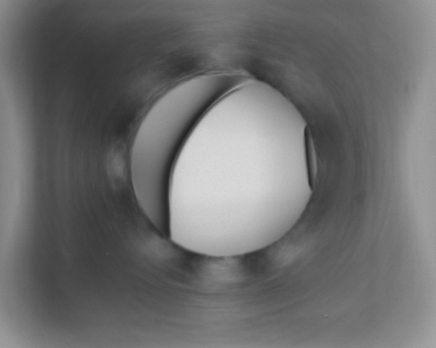 X0000111380576200907311056