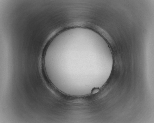 X0000111380578200907311055