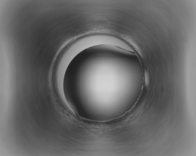 X0000111380579200907311055