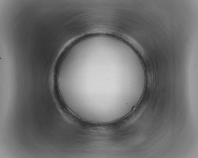 X0000111380580200907311055