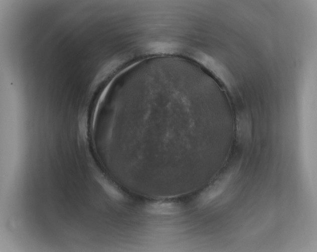 X0000111380581200907311055