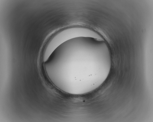 X0000111380583200907311055