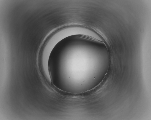 X0000111380584200907311055