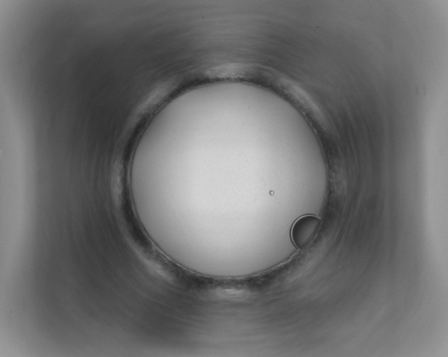 X0000111380586200907311055