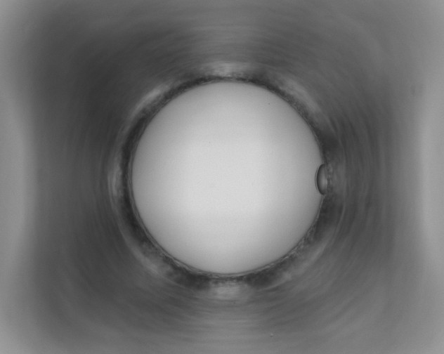 X0000111380587200907311055