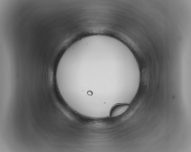 X0000111380589200907311055