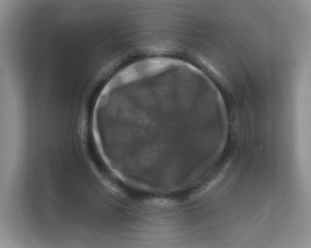 X0000111380590200907311055