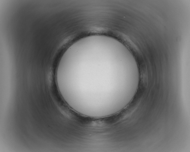 X0000111380591200907311055