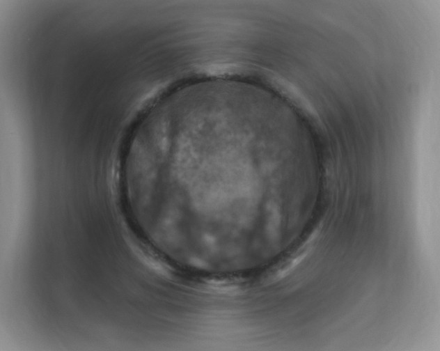 X0000111380592200907311055