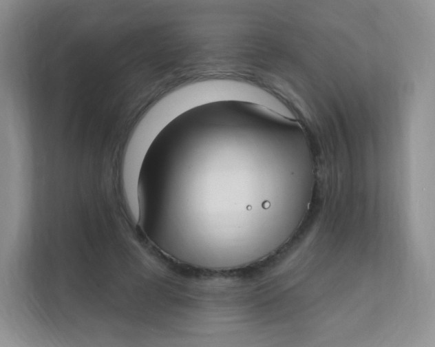 X0000111380593200907311055