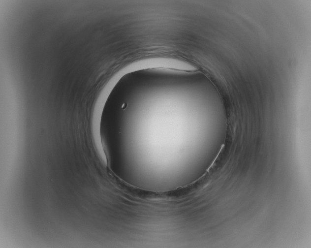 X0000111380595200907311055