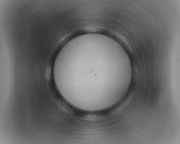 X0000111380596200907311055