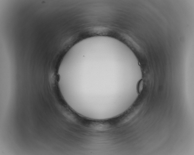 X0000111380597200907311055