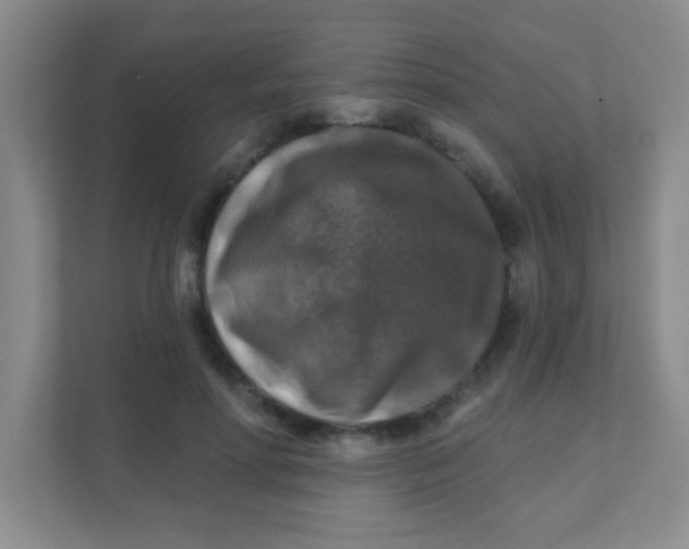 X0000111380598200907311055