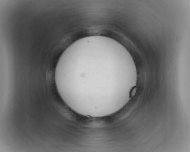 X0000111380601200907311055