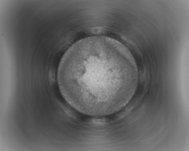 X0000111380606200907311055