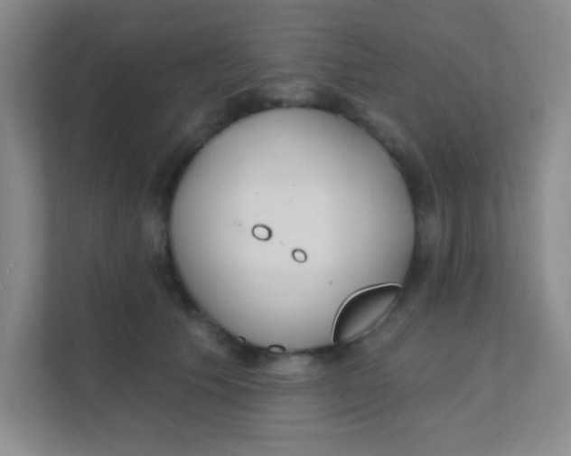 X0000111380609200907311055