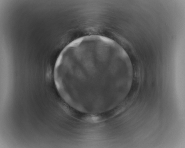 X0000111380610200907311055