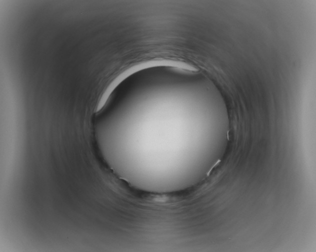 X0000111380611200907311055