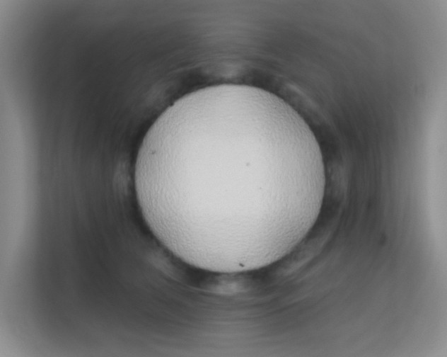 X0000111380612200907311055