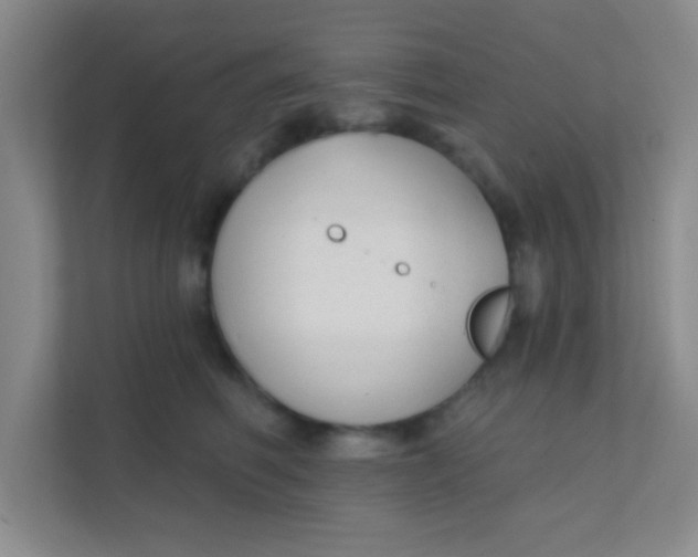 X0000111380614200907311055