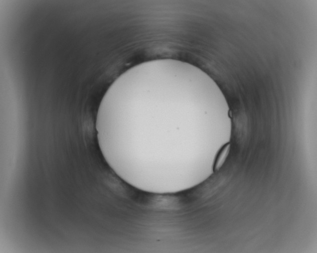 X0000111380617200907311055