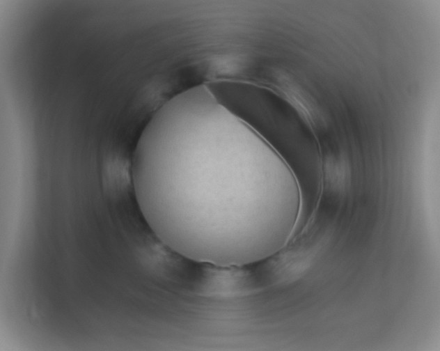 X0000111380621200907311055