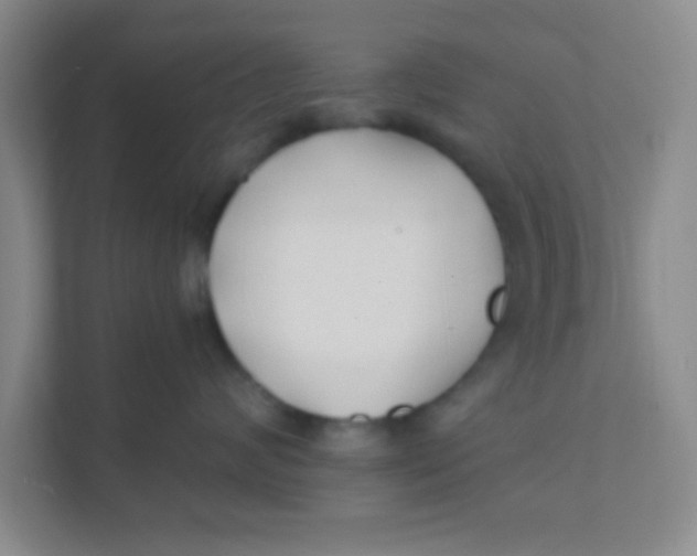 X0000111380624200907311054