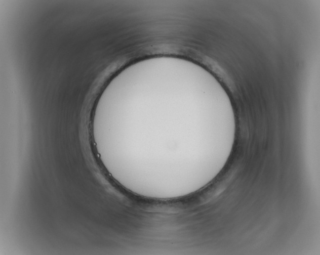 X0000111380625200907311054