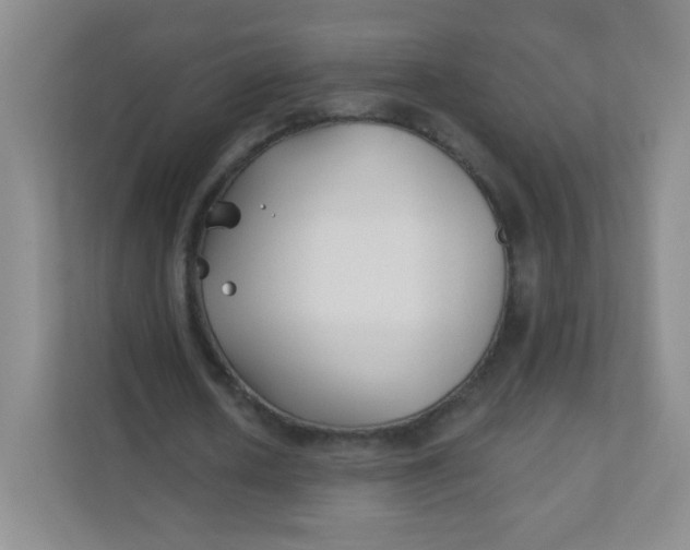 X0000111380626200907311054