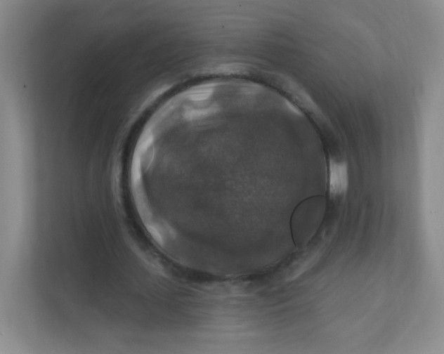 X0000111380627200907311054