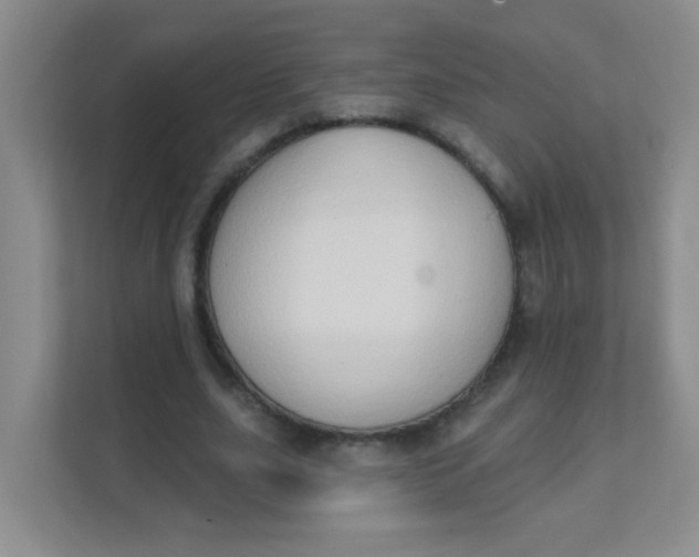 X0000111380631200907311054