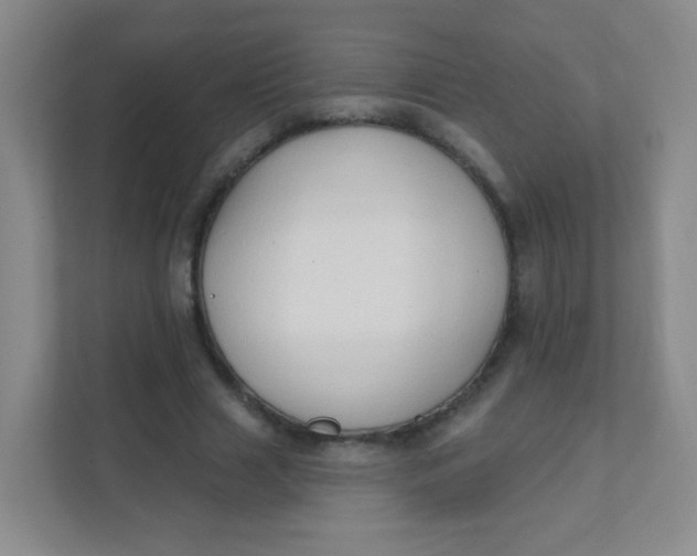 X0000111380633200907311054