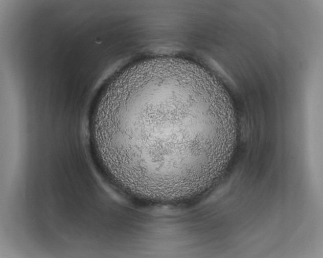 X0000111380634200907311054