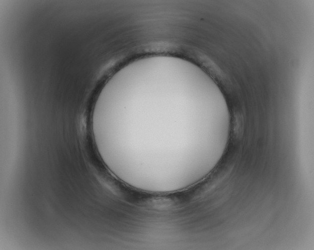 X0000111380636200907311054