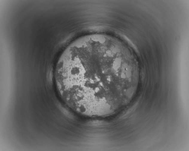 X0000111380637200907311054