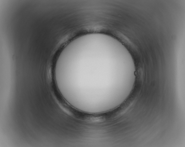 X0000111380638200907311054