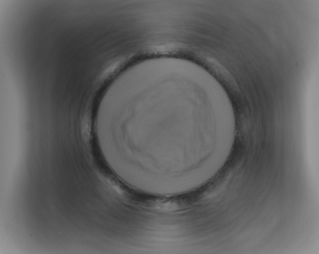 X0000111380640200907311054