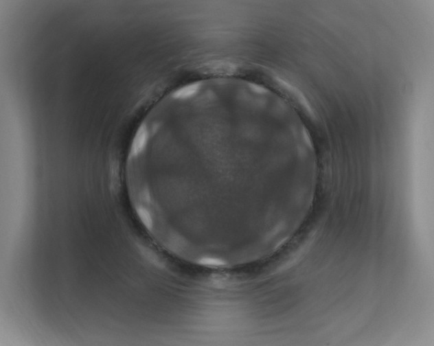 X0000111380641200907311054