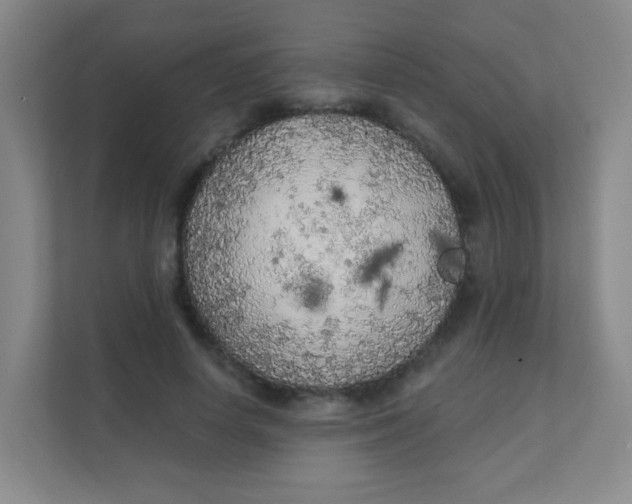 X0000111380642200907311054