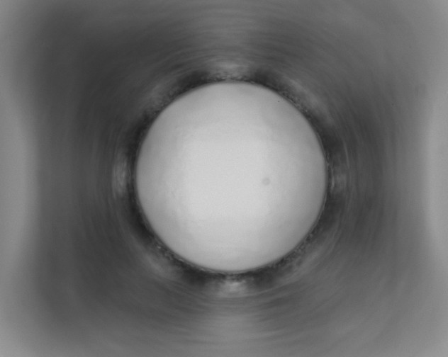 X0000111380647200907311054